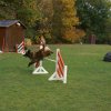 agility 2011-10-30